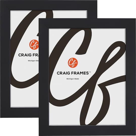2 Pack Craig Frames Essentials Modern Black Picture Frame